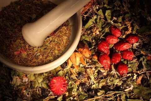 herbes pour éliminer les parasites du corps