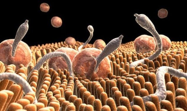 parasites